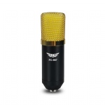 Condenser Microphone