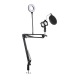 Microphone Stand